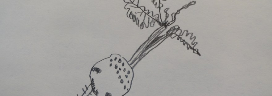 A = Arts STEAM Fun4Kids